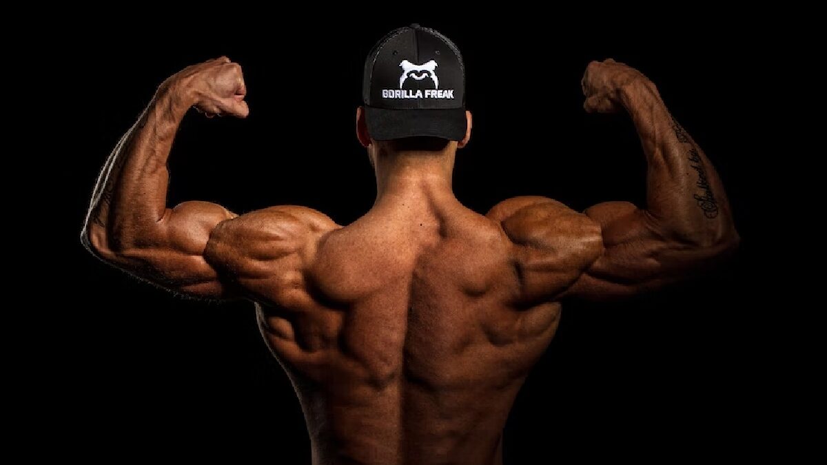 The relationship between muscle mass and hormones in bodybuilding