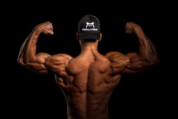 mass muscle and harmones