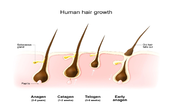 Hair Growth Write For Us