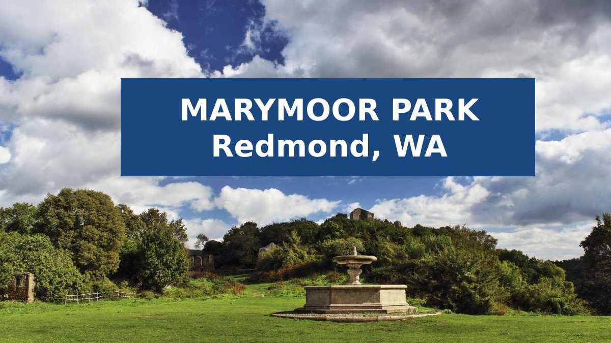 Marymoor Park: A Gem in the Heart of Redmond