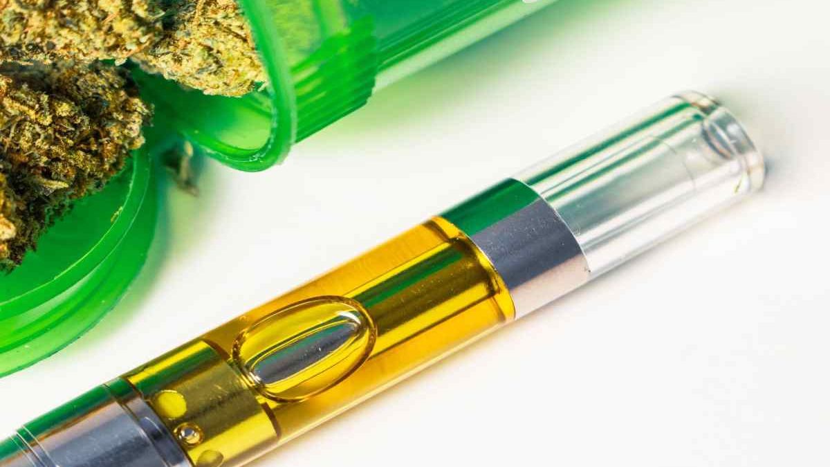 5 Tips to Carry THC Vape to Your Vacation