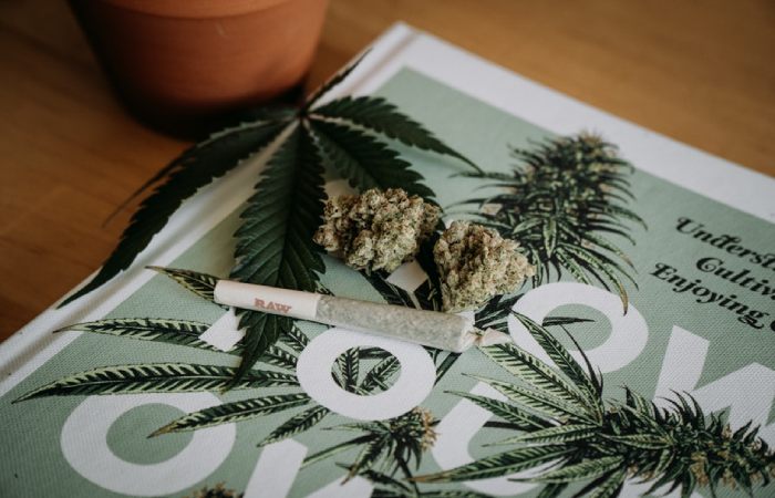 The Rise of Weed Delivery Services in the Cannabis Industry